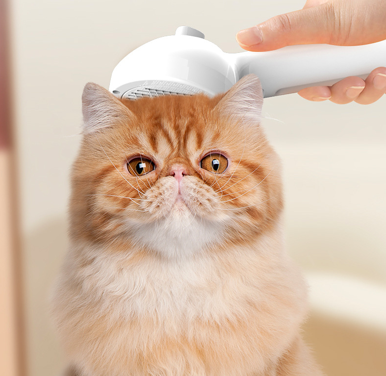 Pelsbørste med vanntåke for katt