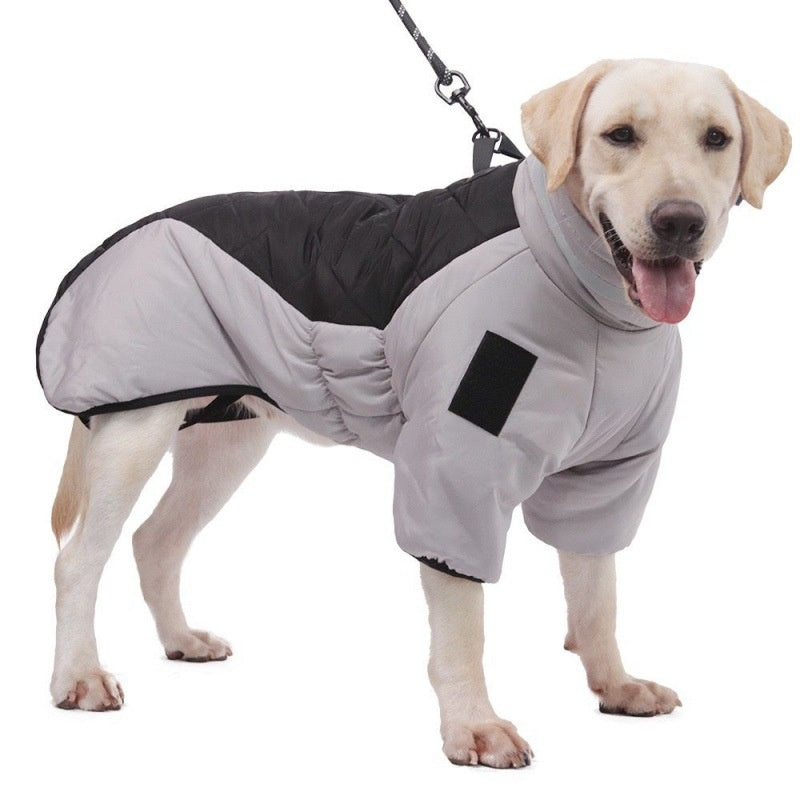 Hund i foret vinterdekken