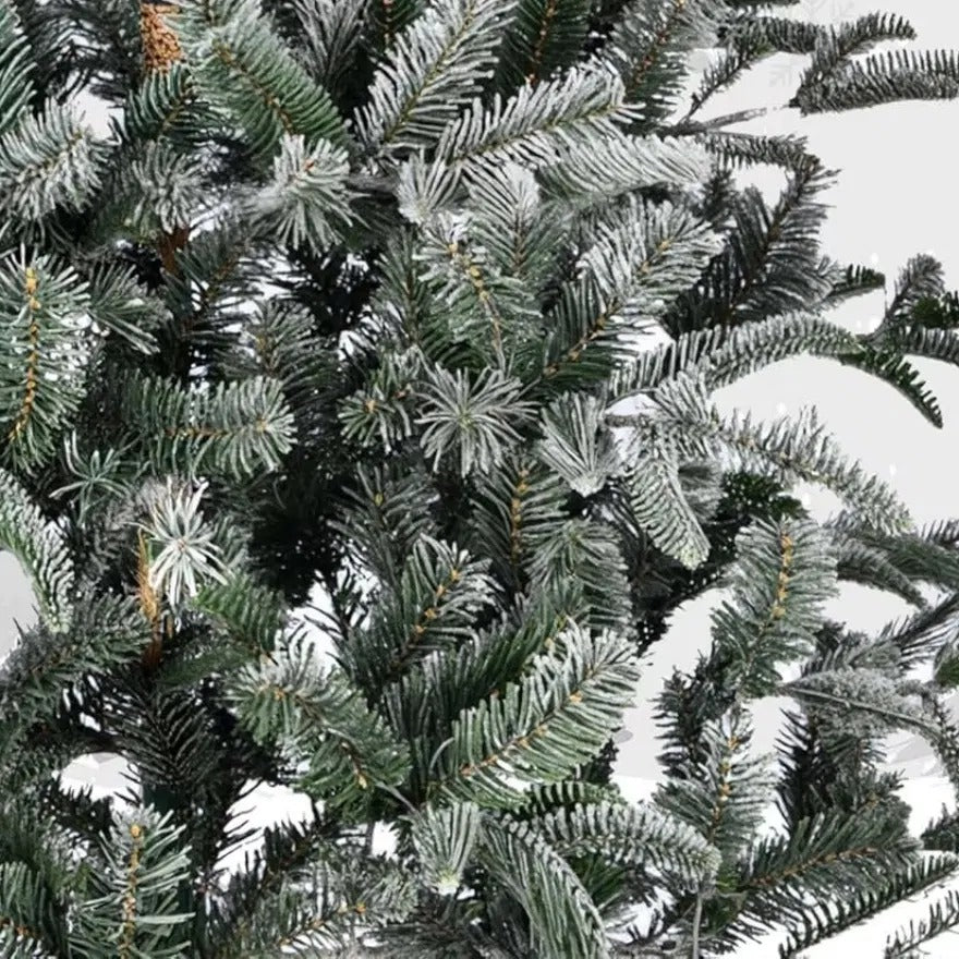 Åpent juletre med lett snø på tuppene